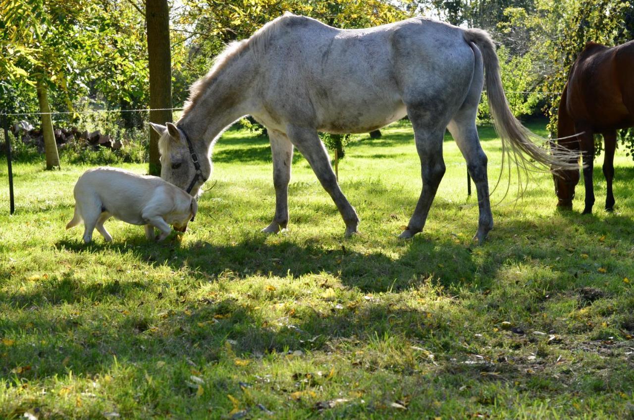B&B La Tour Blanche Forest-Montiers Zewnętrze zdjęcie